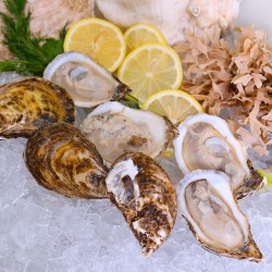 Blue Pearl Cocktail Oysters -Each