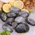  Clams in Shell - 1 lb