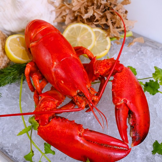  Market Lobster (Cooked) - Market Price